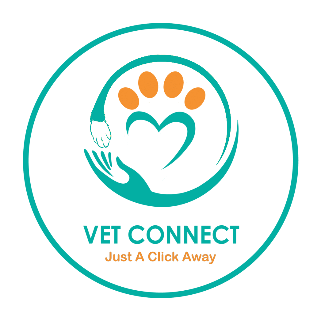 blog-vetconnect