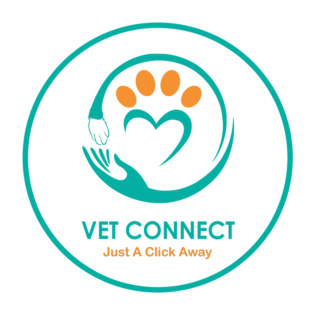 Blog VetConnect